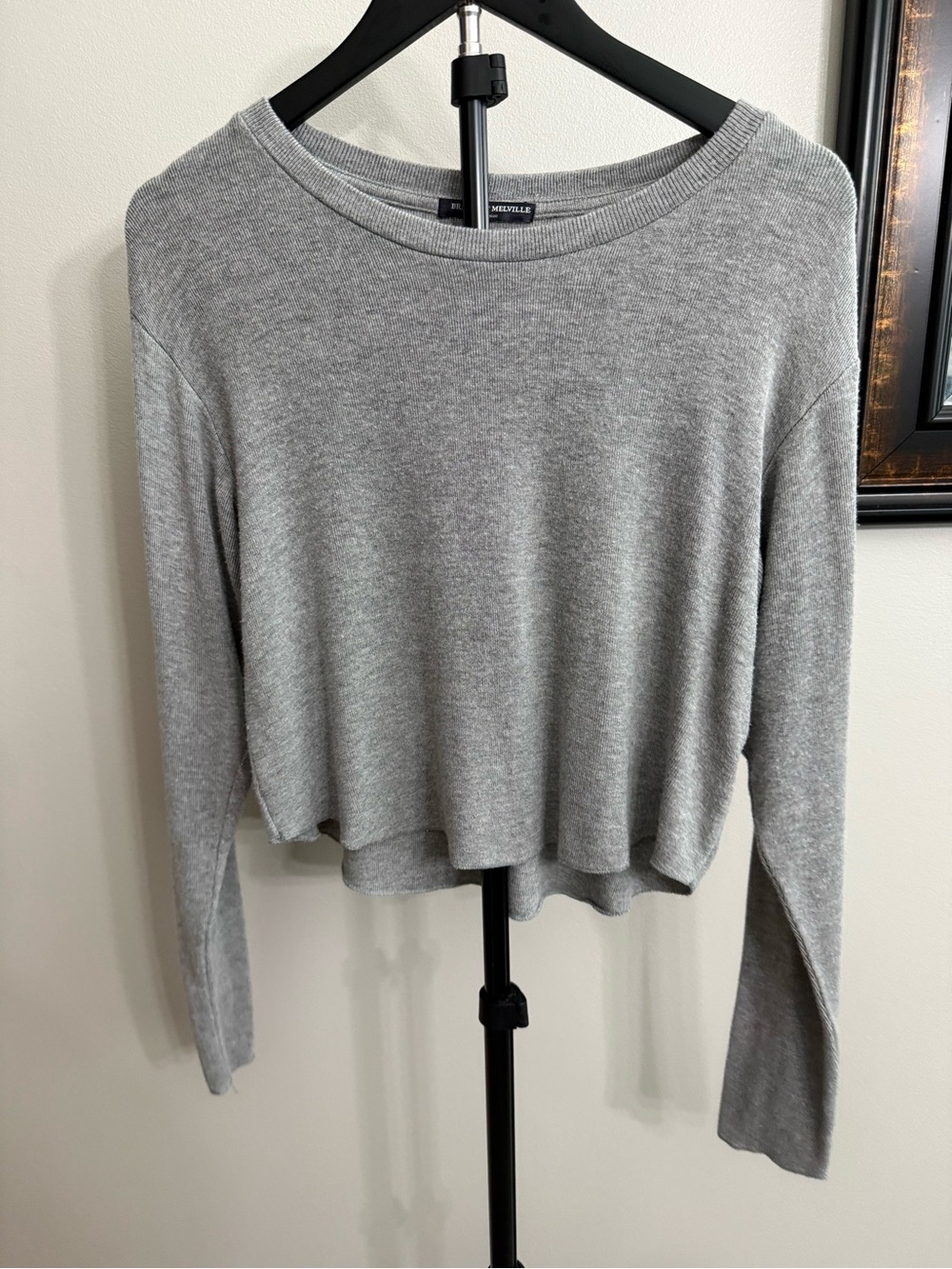 Brandy Melville Light Gray Cropped Long-Sleeve Sweater Top